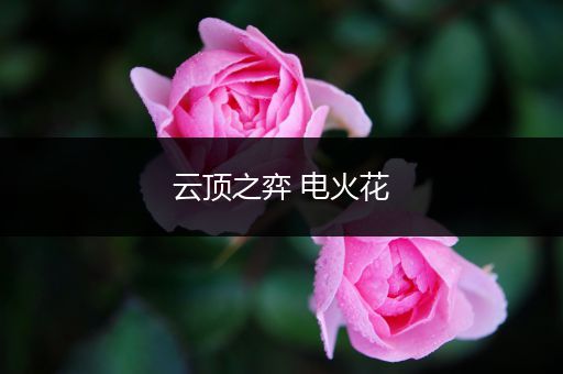 云顶之弈 电火花