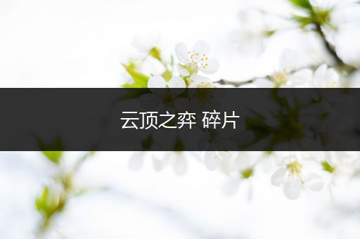 云顶之弈 碎片