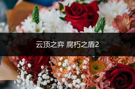 云顶之弈 腐朽之盾2