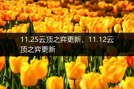 11.25云顶之弈更新，11.12云顶之弈更新