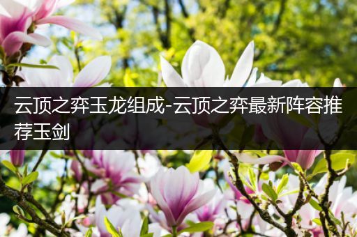 云顶之弈玉龙组成-云顶之弈最新阵容推荐玉剑