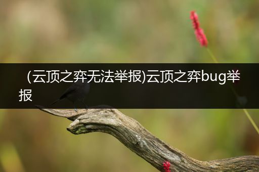 （云顶之弈无法举报)云顶之弈bug举报
