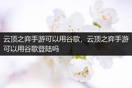 云顶之弈手游可以用谷歌，云顶之弈手游可以用谷歌登陆吗