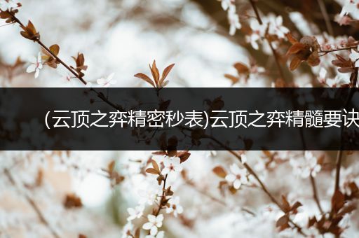 （云顶之弈精密秒表)云顶之弈精髓要诀