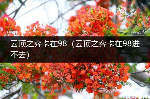 云顶之弈卡在98（云顶之弈卡在98进不去）