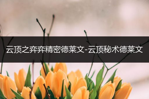 云顶之弈弈精密德莱文-云顶秘术德莱文