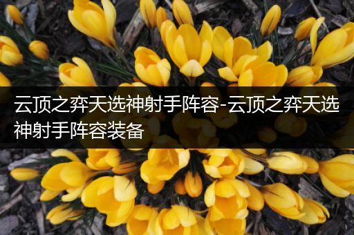 云顶之弈天选神射手阵容-云顶之弈天选神射手阵容装备