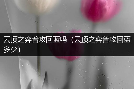 云顶之弈普攻回蓝吗（云顶之弈普攻回蓝多少）