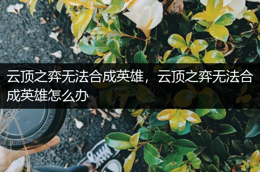 云顶之弈无法合成英雄，云顶之弈无法合成英雄怎么办