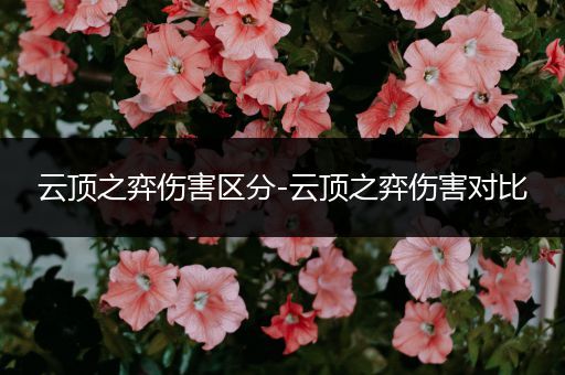 云顶之弈伤害区分-云顶之弈伤害对比