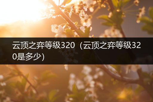 云顶之弈等级320（云顶之弈等级320是多少）