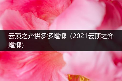 云顶之弈拼多多螳螂（2021云顶之弈螳螂）