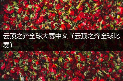 云顶之弈全球大赛中文（云顶之弈全球比赛）