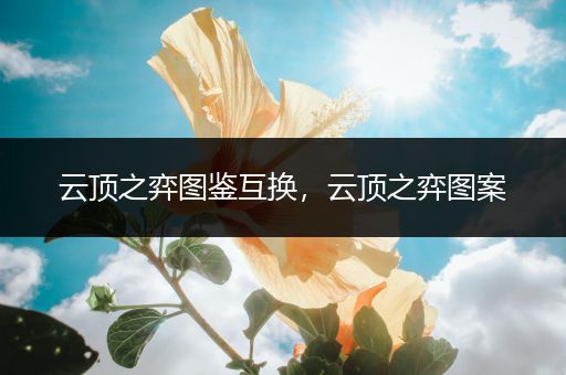 云顶之弈图鉴互换，云顶之弈图案