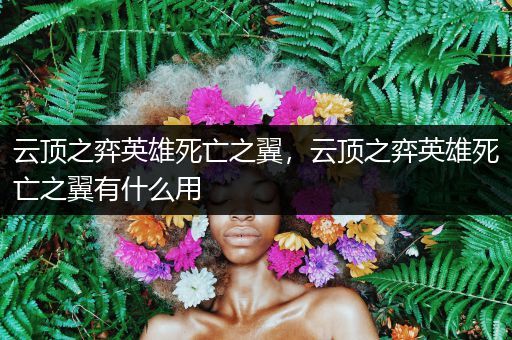 云顶之弈英雄死亡之翼，云顶之弈英雄死亡之翼有什么用