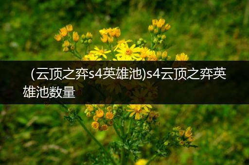 （云顶之弈s4英雄池)s4云顶之弈英雄池数量