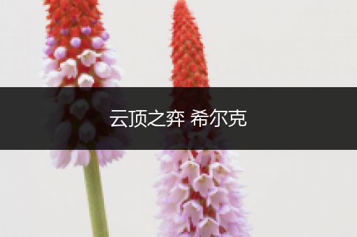 云顶之弈 希尔克