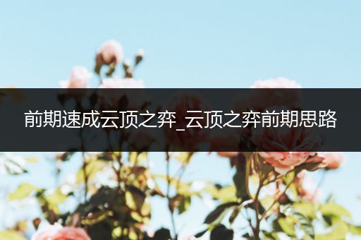 前期速成云顶之弈_云顶之弈前期思路
