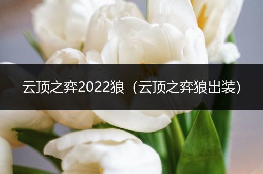 云顶之弈2022狼（云顶之弈狼出装）