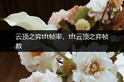 云顶之弈tft帧率，tft云顶之弈帧数