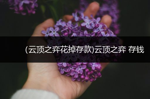 （云顶之弈花掉存款)云顶之弈 存钱
