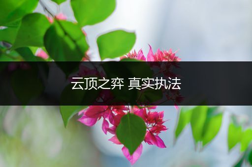 云顶之弈 真实执法