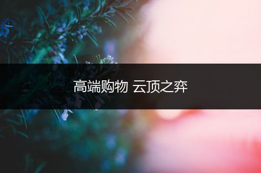 高端购物 云顶之弈