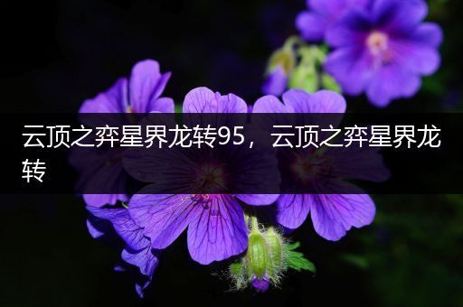 云顶之弈星界龙转95，云顶之弈星界龙转