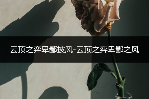 云顶之弈卑鄙披风-云顶之弈卑鄙之风