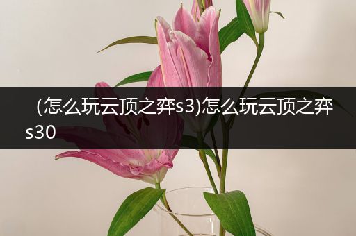 （怎么玩云顶之弈s3)怎么玩云顶之弈s30