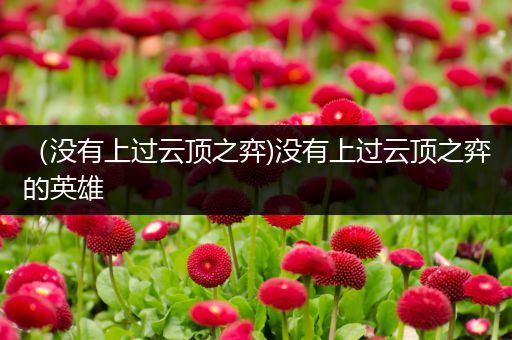 （没有上过云顶之弈)没有上过云顶之弈的英雄
