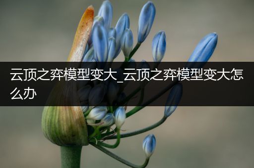 云顶之弈模型变大_云顶之弈模型变大怎么办