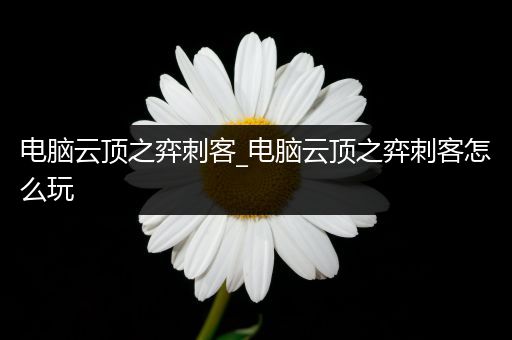 电脑云顶之弈刺客_电脑云顶之弈刺客怎么玩