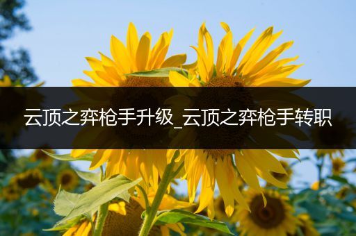 云顶之弈枪手升级_云顶之弈枪手转职