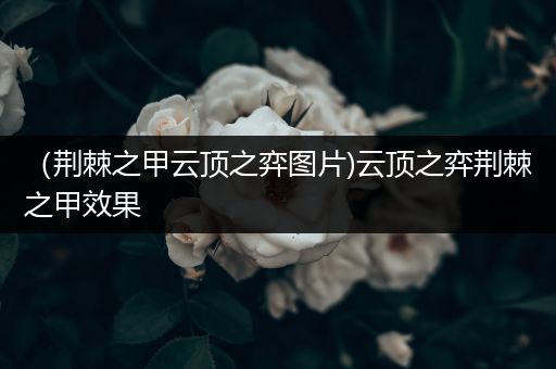 （荆棘之甲云顶之弈图片)云顶之弈荆棘之甲效果