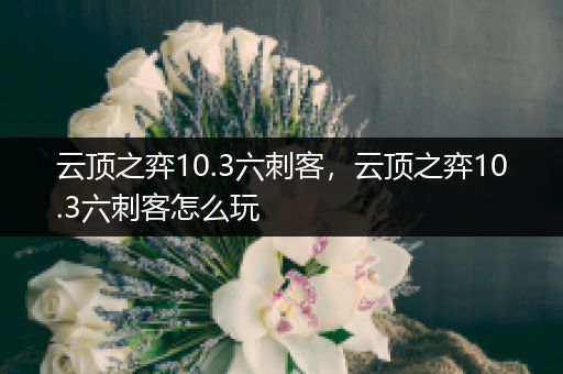 云顶之弈10.3六刺客，云顶之弈10.3六刺客怎么玩