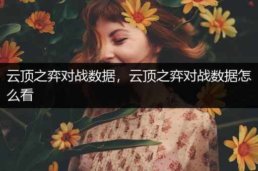 云顶之弈对战数据，云顶之弈对战数据怎么看