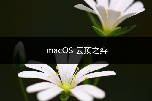 macOS 云顶之弈