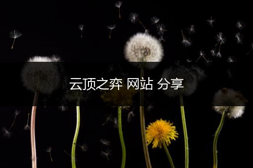 云顶之弈 网站 分享