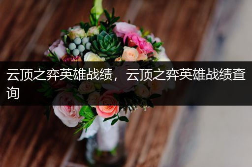 云顶之弈英雄战绩，云顶之弈英雄战绩查询