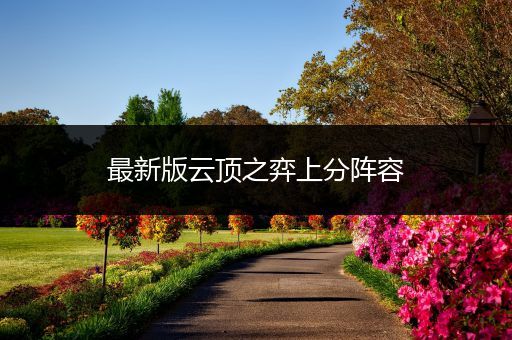最新版云顶之弈上分阵容