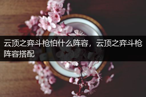 云顶之弈斗枪怕什么阵容，云顶之弈斗枪阵容搭配