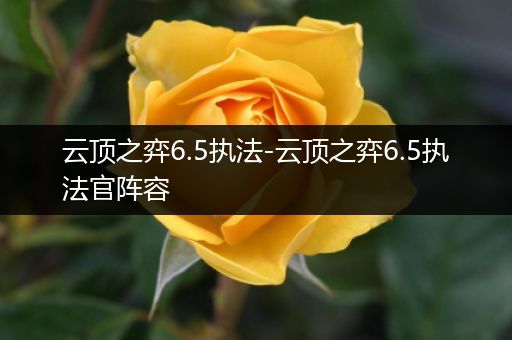 云顶之弈6.5执法-云顶之弈6.5执法官阵容