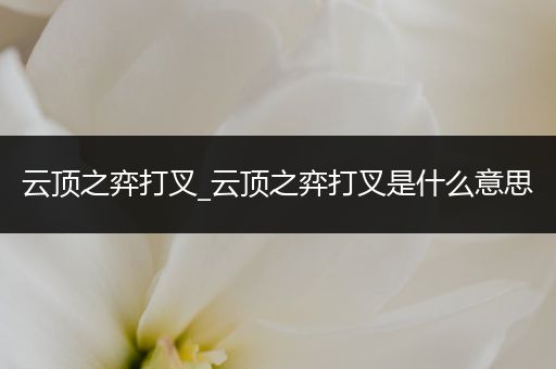 云顶之弈打叉_云顶之弈打叉是什么意思