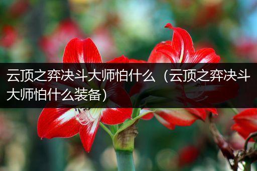 云顶之弈决斗大师怕什么（云顶之弈决斗大师怕什么装备）