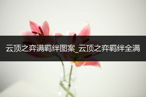 云顶之弈满羁绊图案_云顶之弈羁绊全满