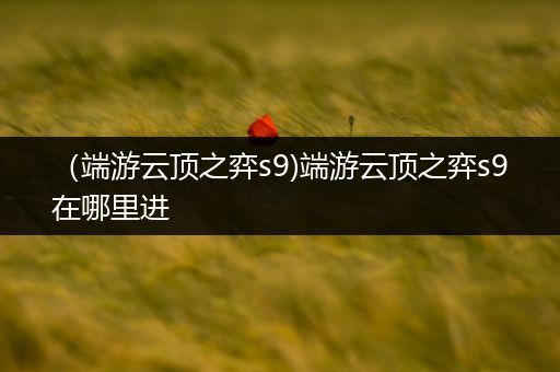 （端游云顶之弈s9)端游云顶之弈s9在哪里进