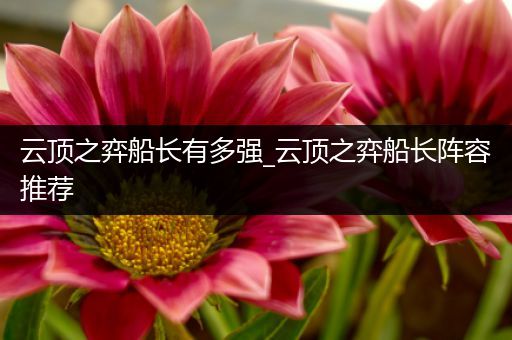 云顶之弈船长有多强_云顶之弈船长阵容推荐