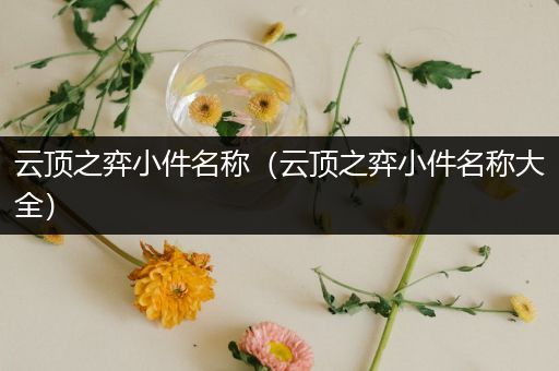 云顶之弈小件名称（云顶之弈小件名称大全）