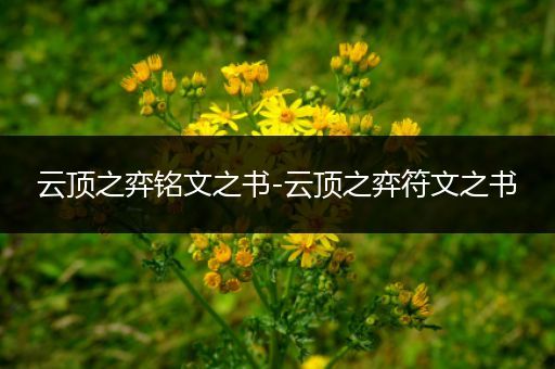 云顶之弈铭文之书-云顶之弈符文之书